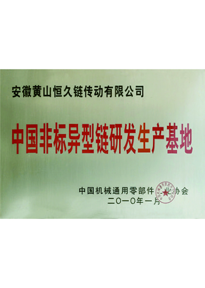 中国非标异形链研发基地